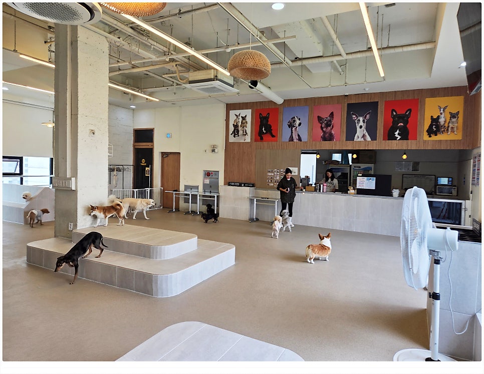 Doktagon photo 6