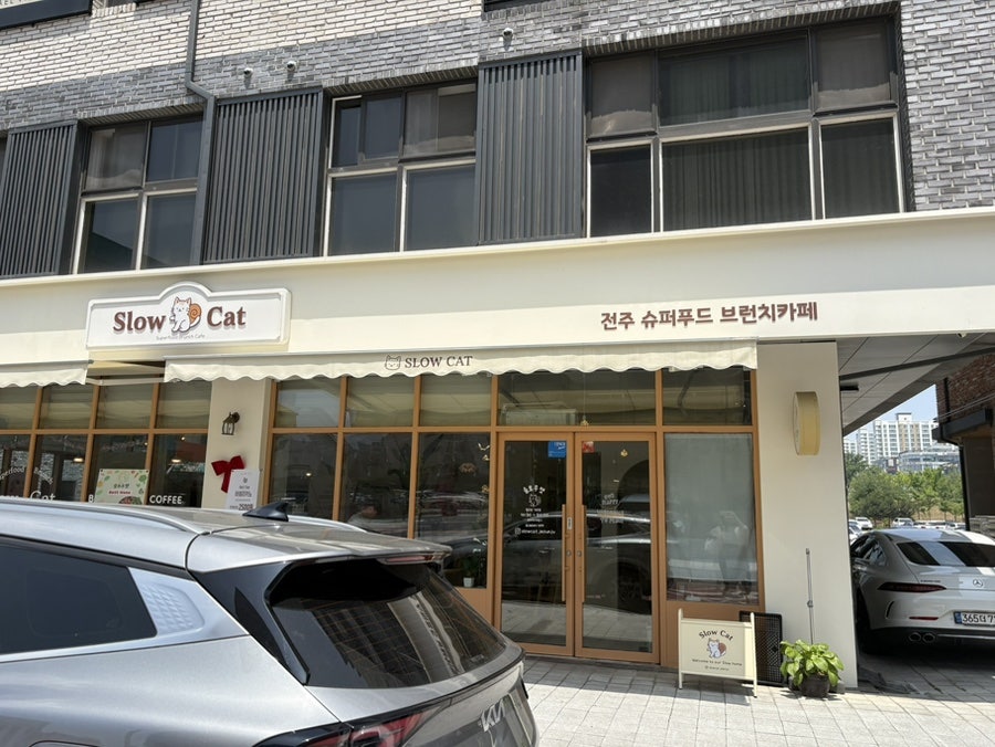 슬로우캣 사진 2