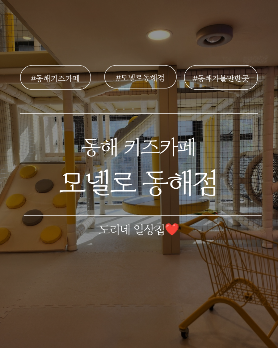 모넬로키즈 카페 동해점 사진 1