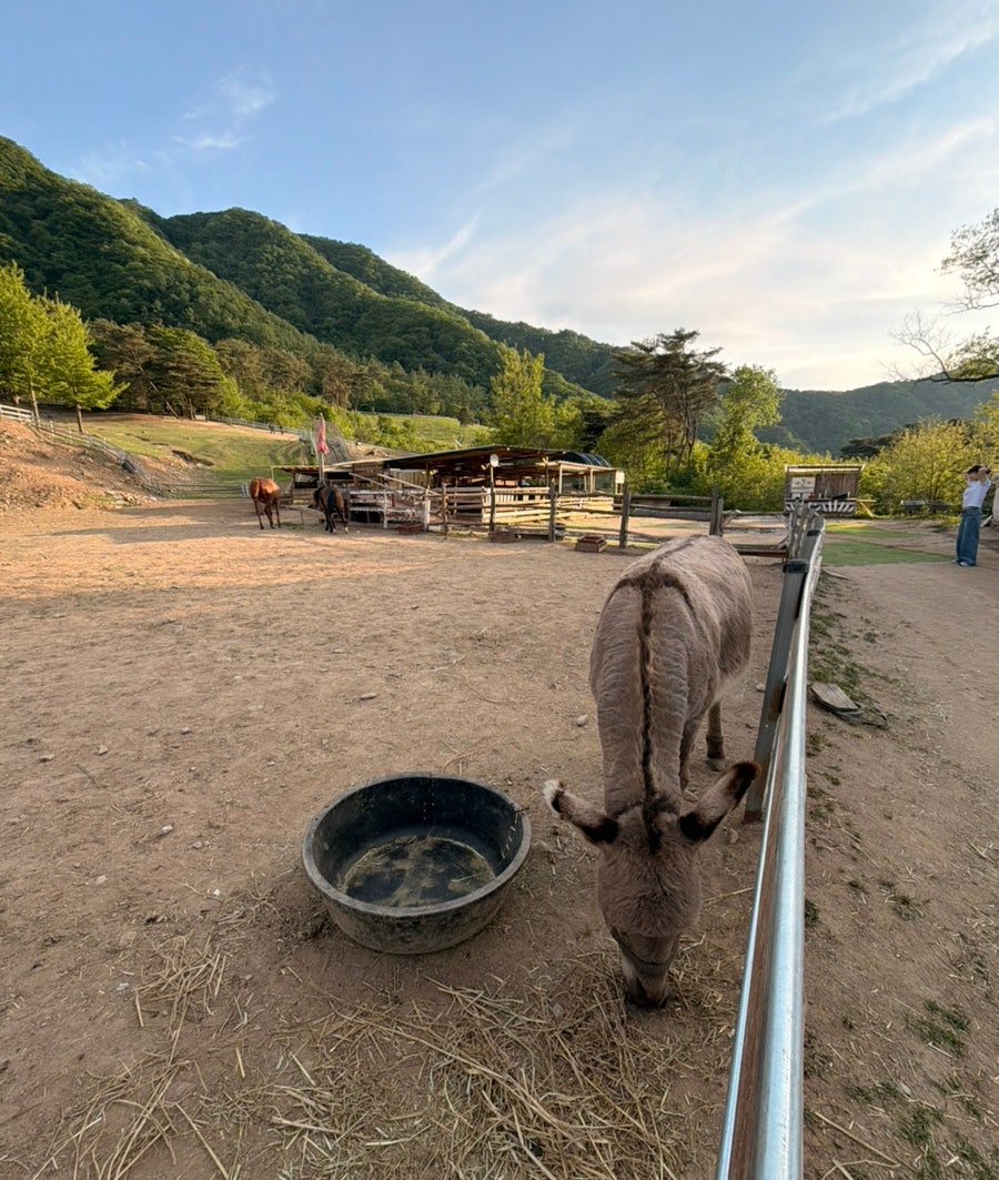 괴이산 사진 3