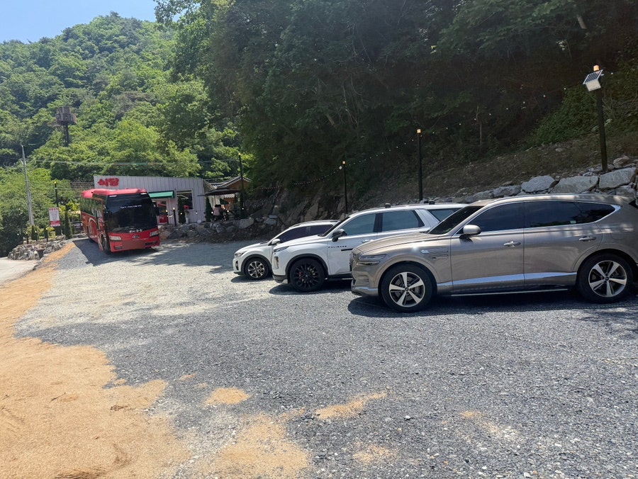 비룡상회식당 사진 2