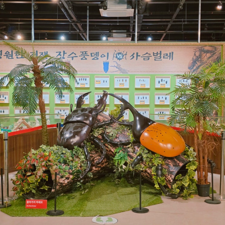  여주곤충박물관 곤충체험 명소 경기도 여행 실내 아이와 가볼만한 곳