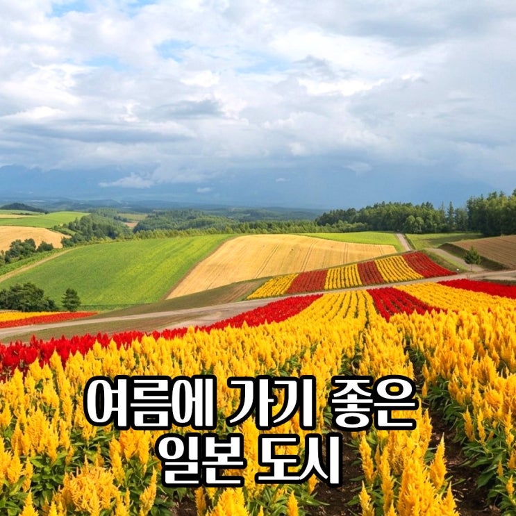  여름 일본 여행지 추천 홋카이도 삿포로 포함 BEST 4