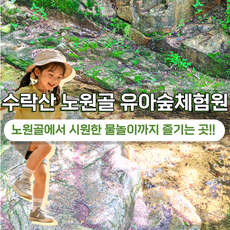 서울 노원구 수락산 노원골 유아숲체험원 주차 계곡