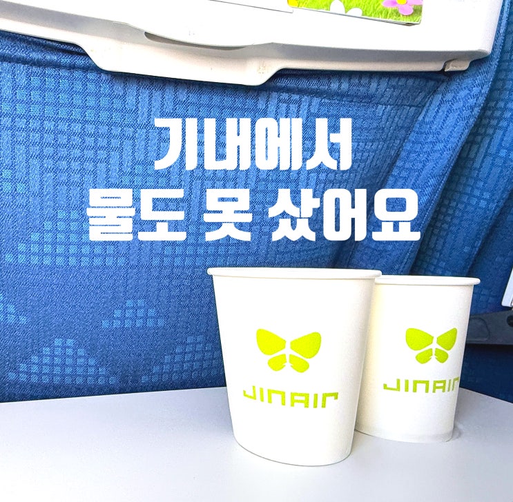  나리타 공항 1터미널 진에어 후기, 기내 결제 규정 때문에 생긴 일