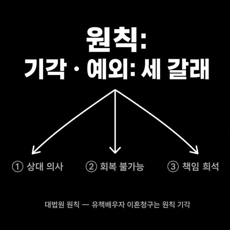 유책배우자 이혼청구, 원칙은 불가지만 예외가 인정되는 경우 관련 이미지 4