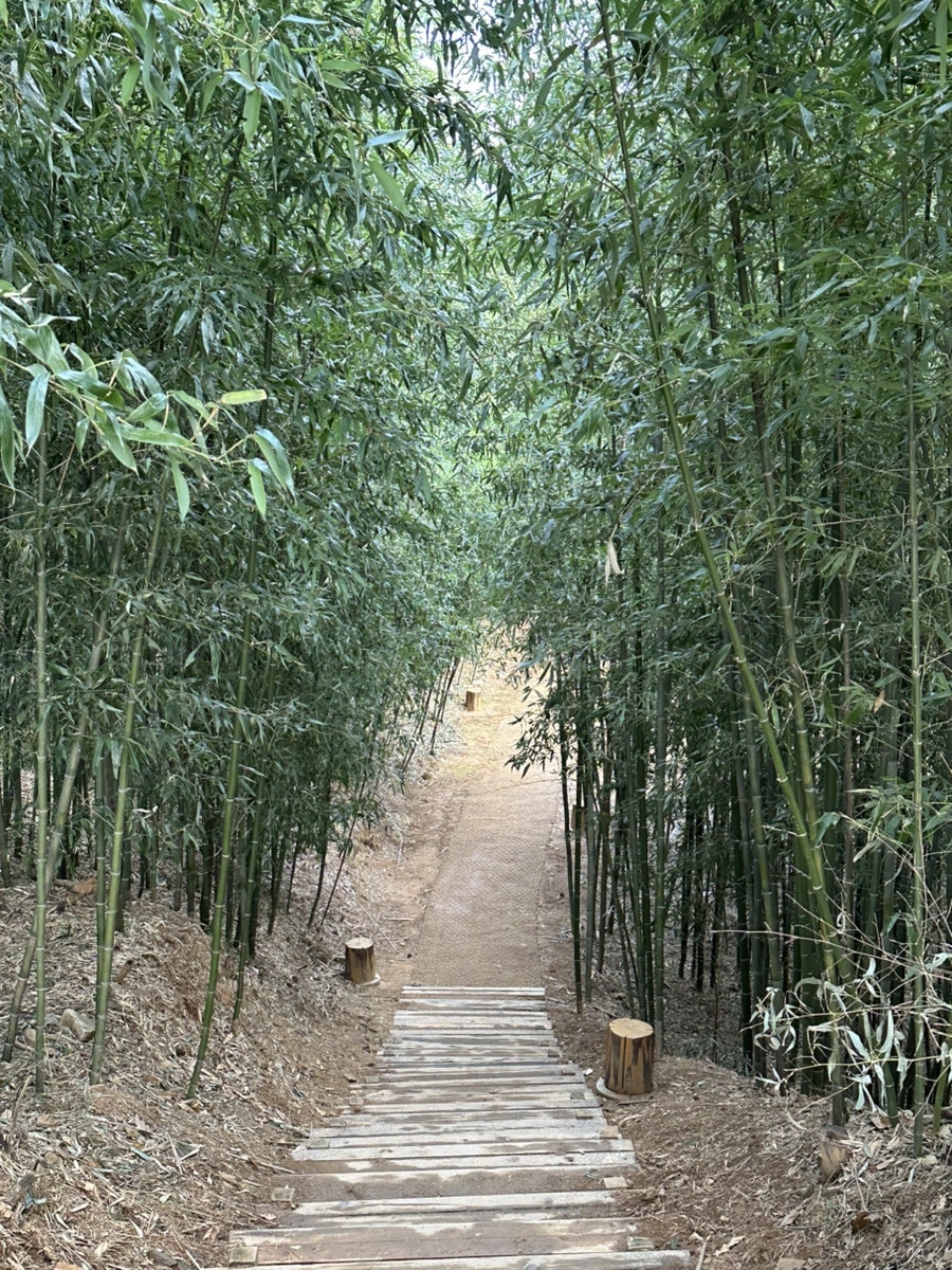 해미당 사진 4