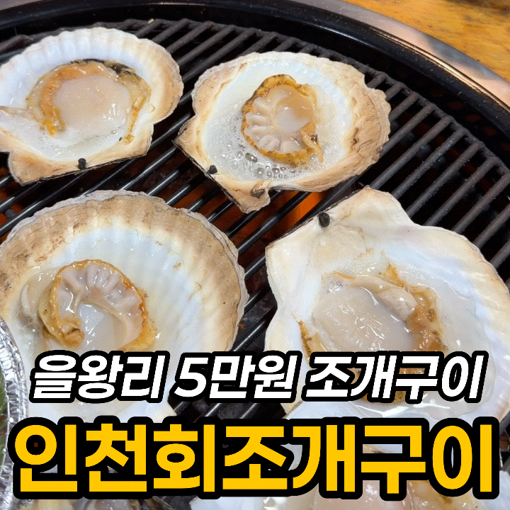  을왕리 조개구이 5만원, 인천회조개구이 가성비 후기