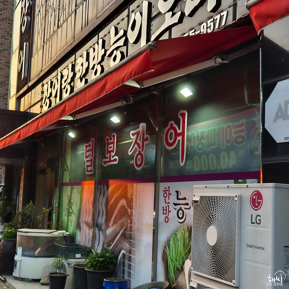 털보장어 사진 2