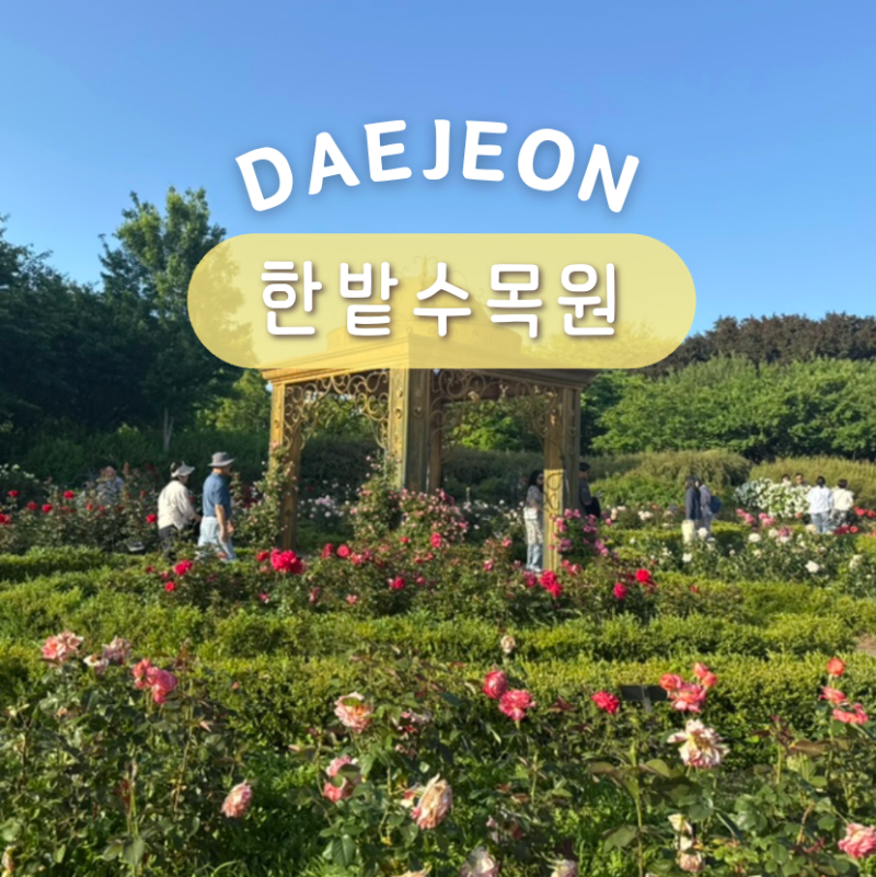 대전 한밭수목원 피크닉 자전거 주차 대전 당일치기 코스