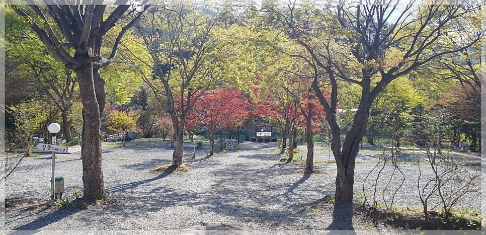 숲에서 놀자 사진 4