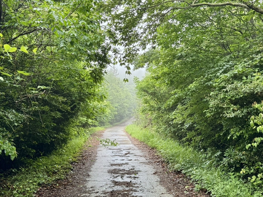 한복산 사진 2