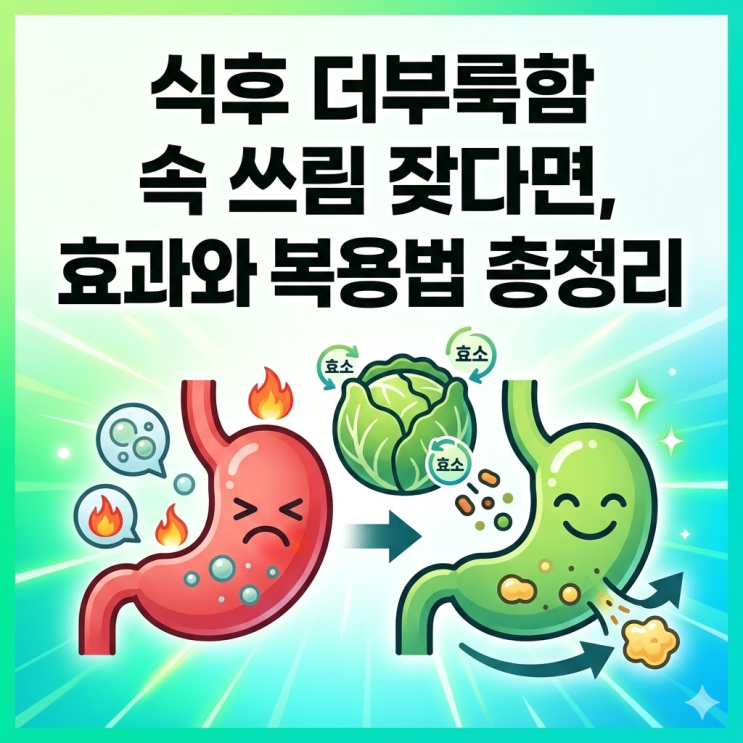  양배추 효소 효과와 올바른 복용법, 식후 더부룩함 속 쓰림 잦다면