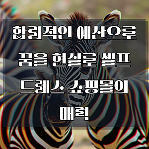 셀프 웨딩드레스 쇼핑몰 효율적으로 대처하기