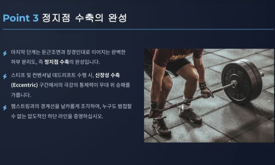 공주핏 사진 6