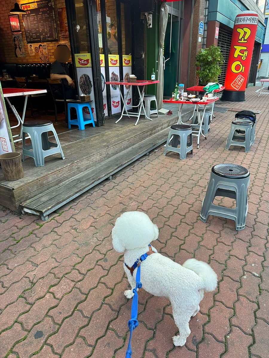 꼬쟁이 석촌점 사진 4