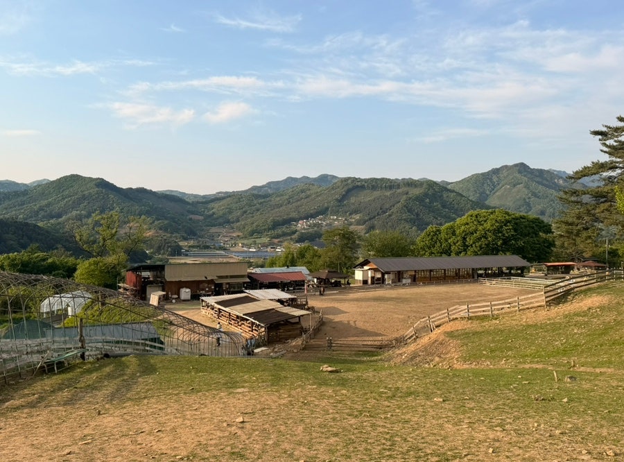 괴이산 사진 1