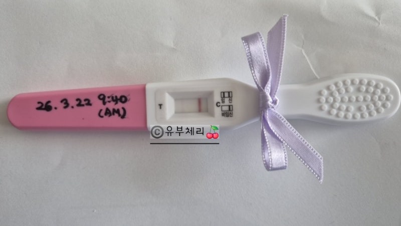 임신 12주차 피비침 증상(절박유산) 공유