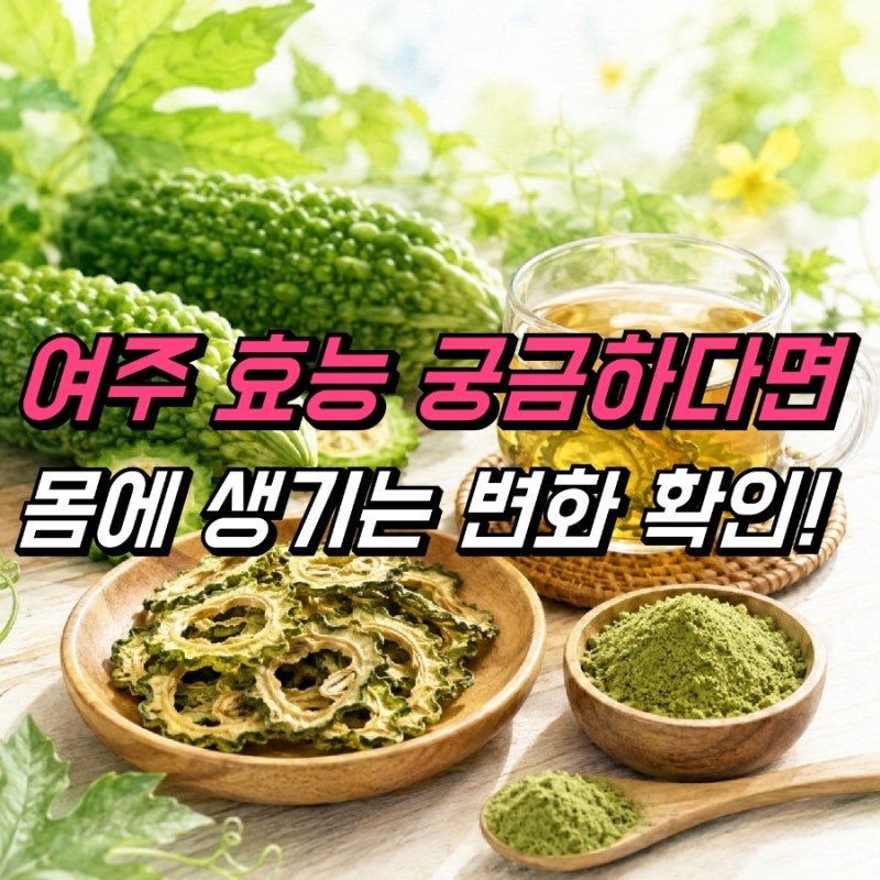 여주 효능 말린여주 분말 먹는법, 여주차 끓이는법