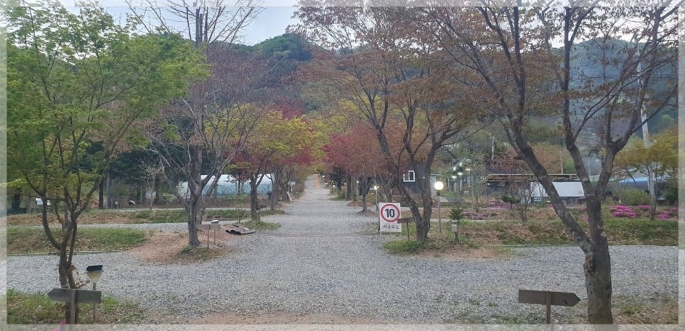 숲에서 놀자 사진 1