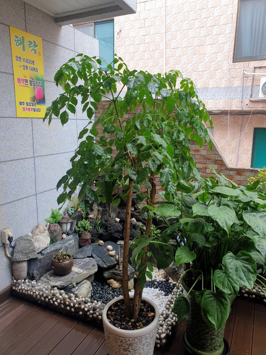 해락 사진 5
