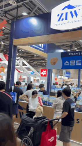 2026 메가주 일산 펫페어 후기｜사은품·할인쿠폰·주차 꿀팁 총정리