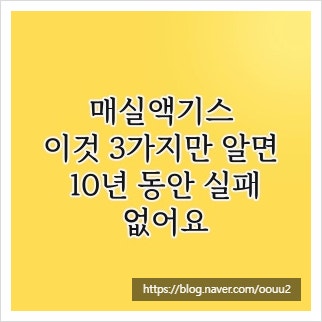 매실액기스, 이것 3가지만 알면 10년 동안 실패 없어요