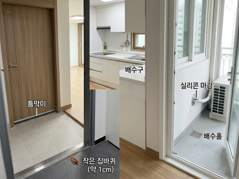 바퀴벌레 차단, 어떻게 해야 외부 유입을 막을 수 있을까?