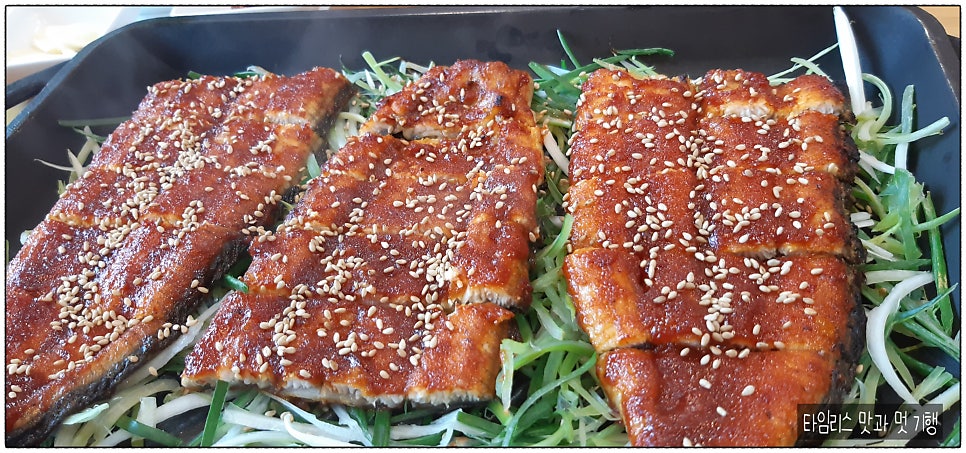 기통찬장어 사진 1