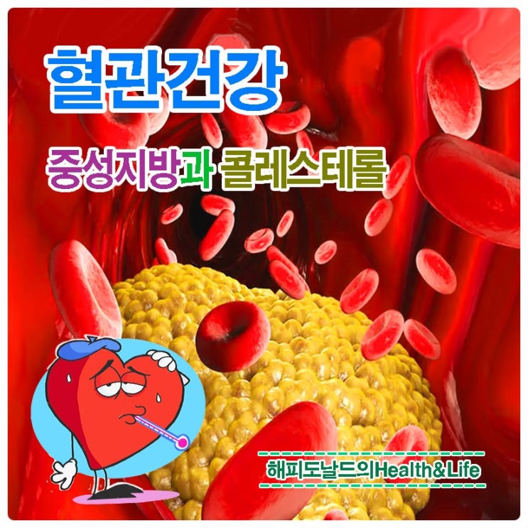 소리 없는 적!  중성지방과 콜레스테롤 차이점 및 혈관 건강 관리법