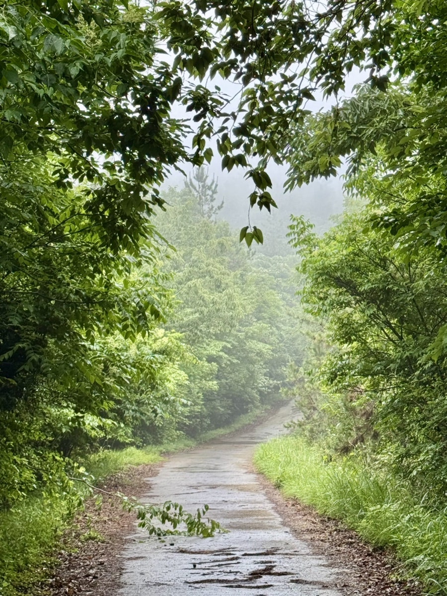 한복산 사진 4