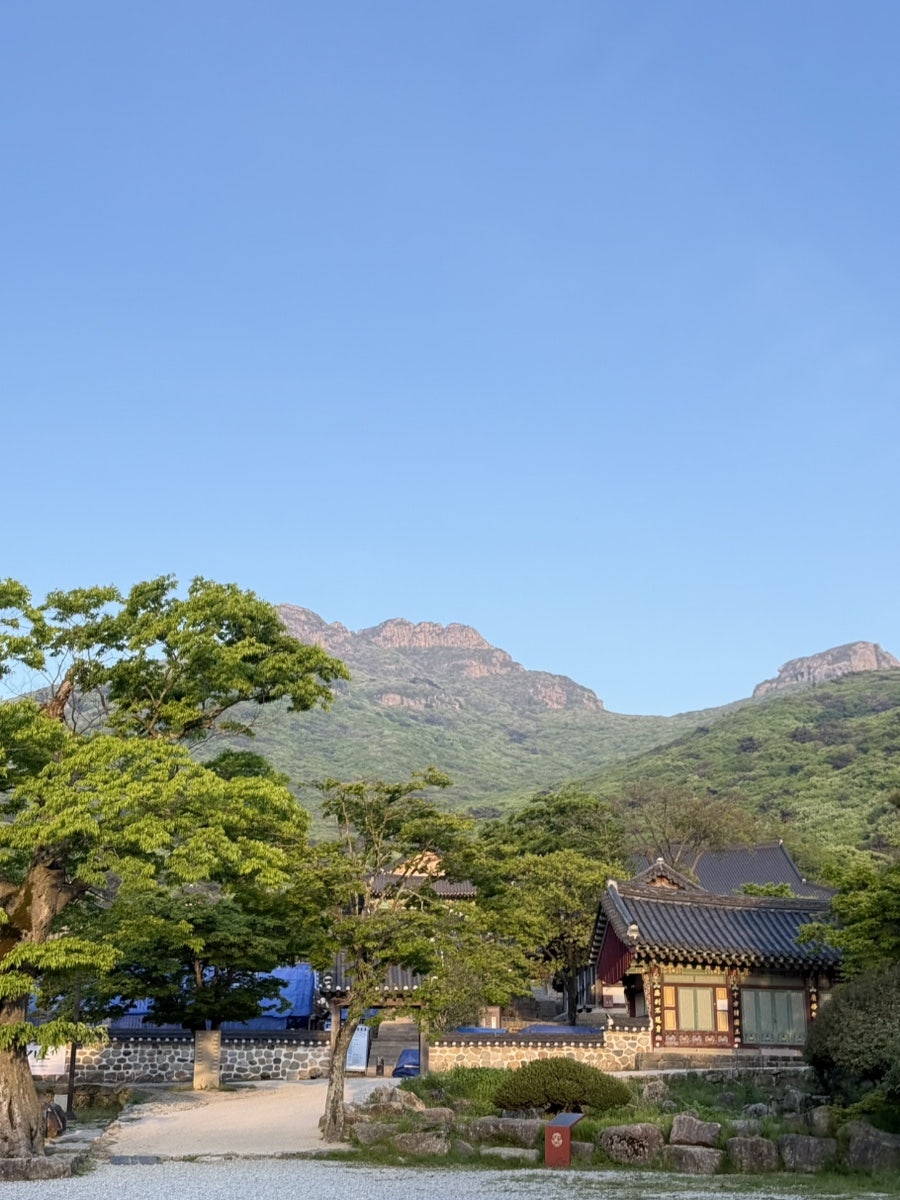 소망식당 사진 6