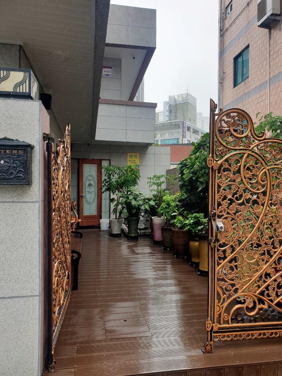 해락 사진 4