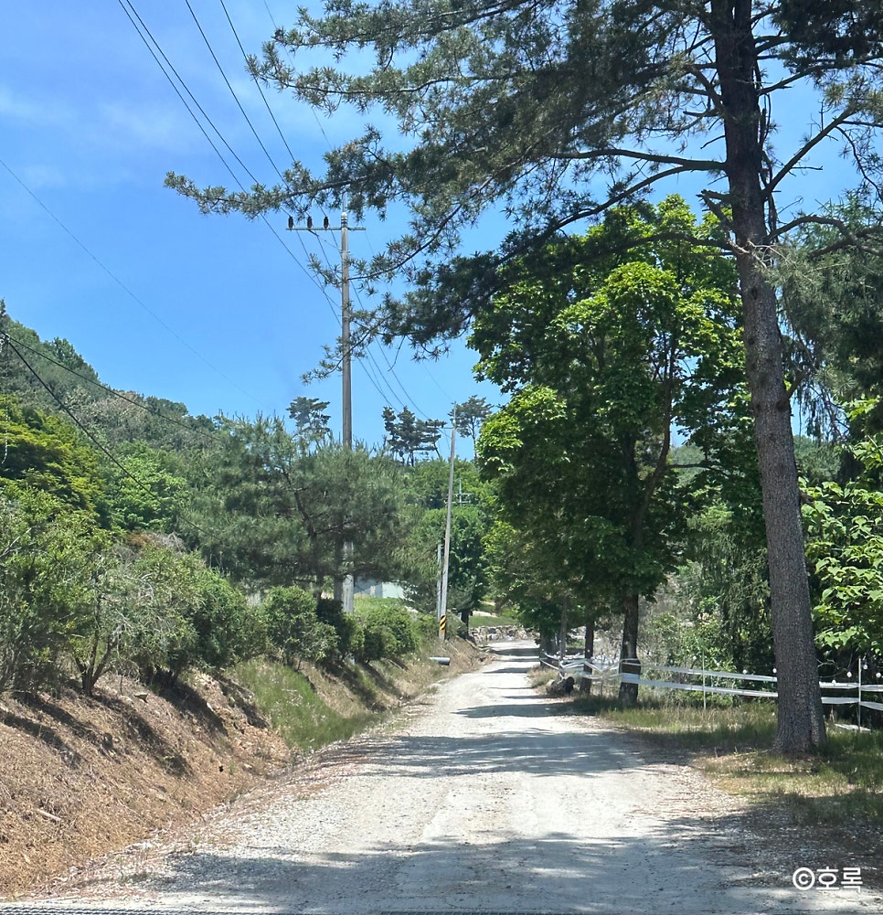 599버거 사진 5