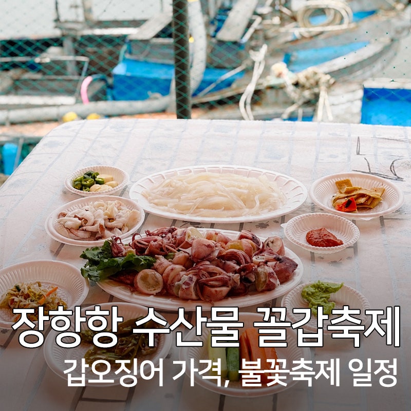 2026 서천 장항항 수산물 꼴갑축제 | 갑오징어 가격·불꽃놀이·주차 총정리
