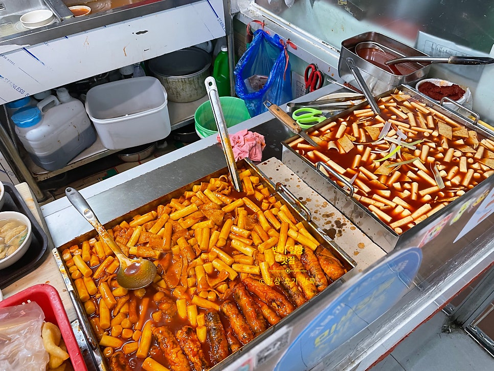 쌍둥이네 사진 6