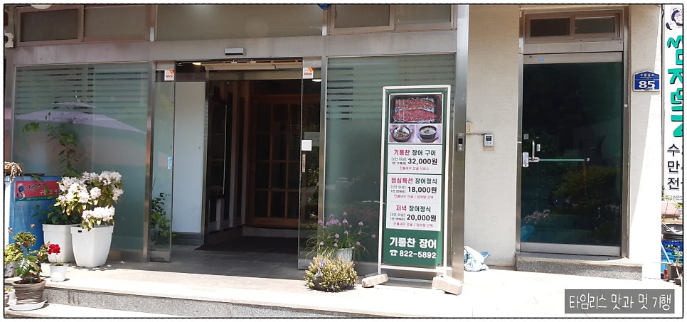 기통찬장어 사진 3