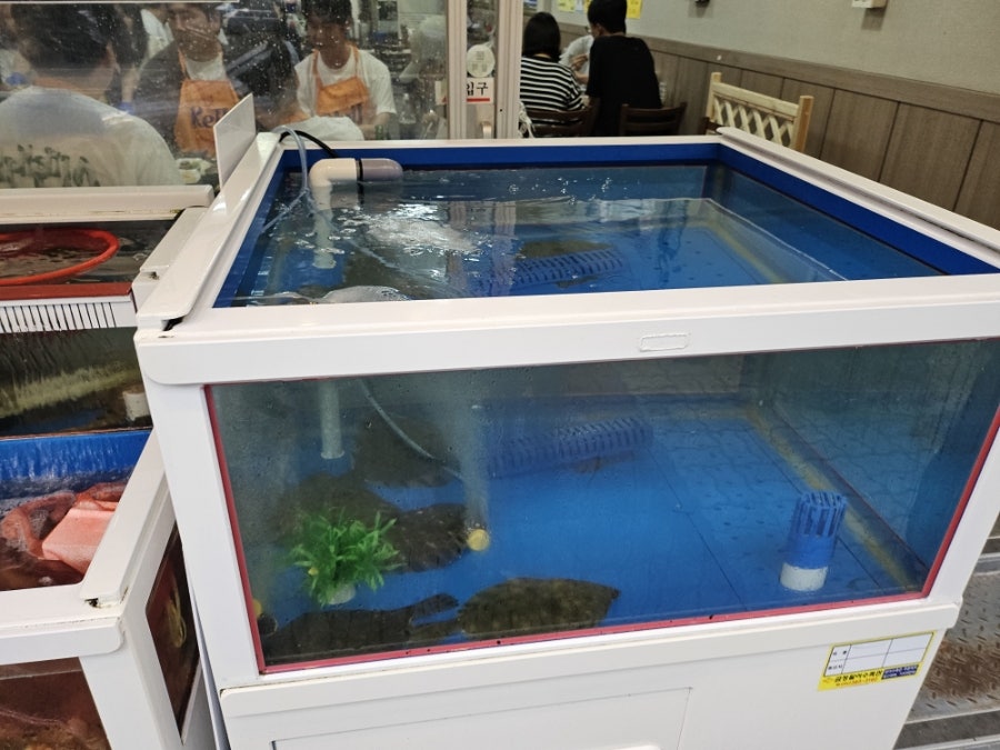 꽃섬 사진 6