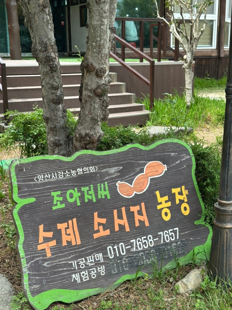 양산 아이와 가볼만한 곳 양산 조아저씨 수제소시지 소세지,피자만들기 체험