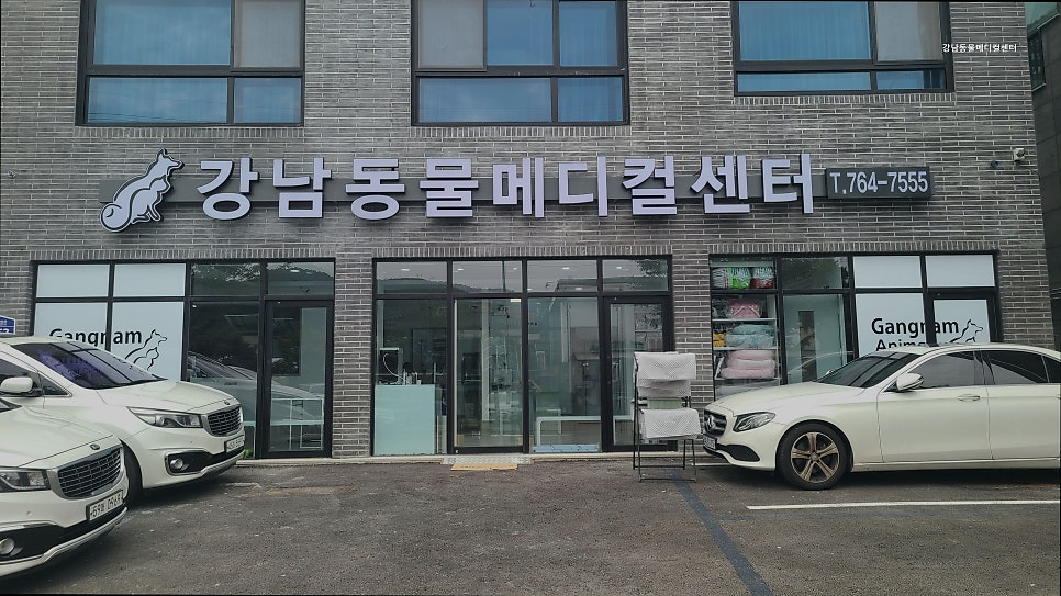 강남동물메디컬센터 사진 1