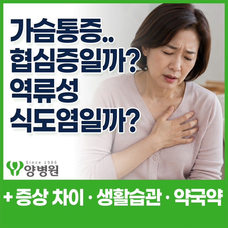 가슴통증 계속되는데 역류성식도염일까 협심증일까? 헷갈리는 증상 차이 정리 | 강동구 내과