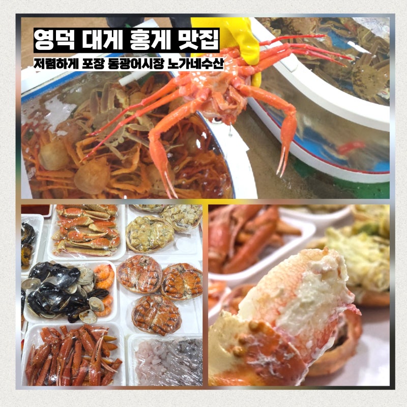 영덕 대게 맛집 강구항 동광어시장 노가네수산 홍게 가성비 좋은 가격으로 포장