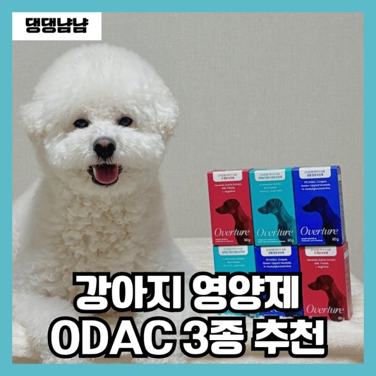  강아지 기관지 간 관절 영양제 ODAC 간식같은 보조제