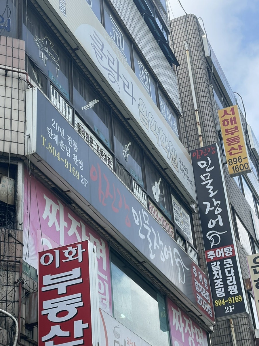 임진강민물장어 사진 1