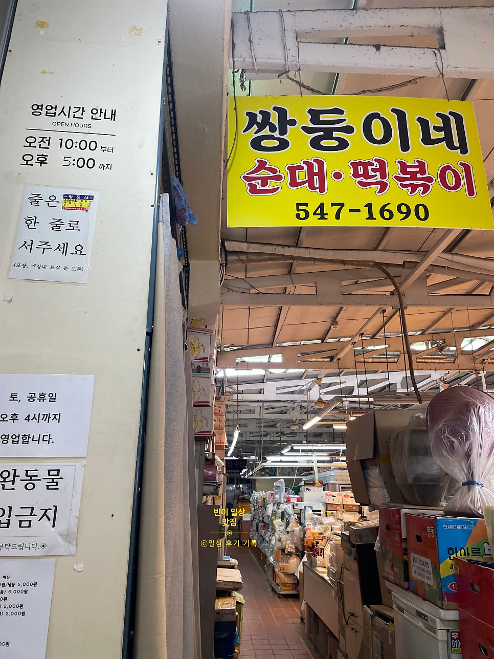 쌍둥이네 사진 2