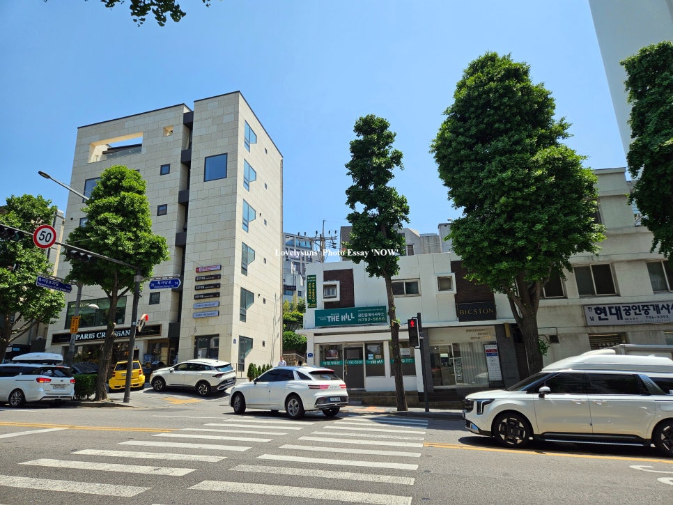 라도집 사진 4