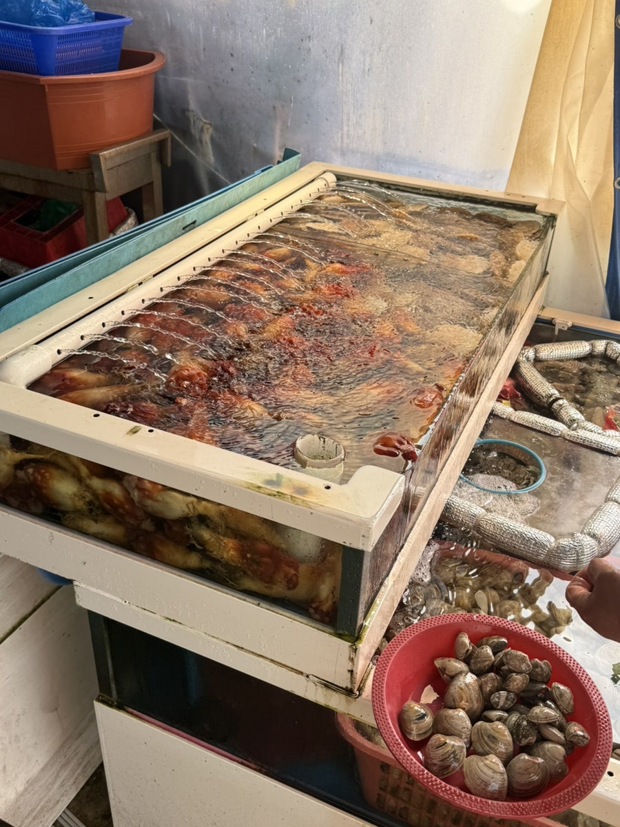 봉성호 사진 5