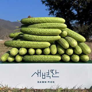  오이 백다다기 백오이 특품 2kg - 아삭함과 고소함의 균형