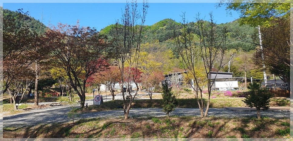숲에서 놀자 사진 5