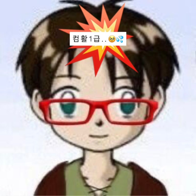 008. 시나공과 함께하는 컴활 1급 | 컴활 1급 필기 • 실기